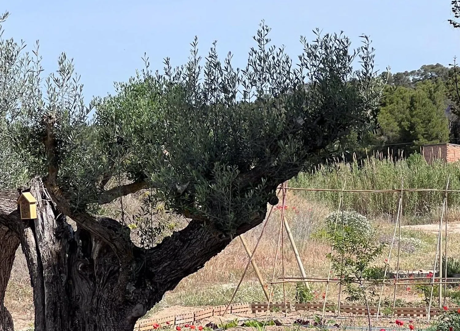 Serra De Martines Batea Country house